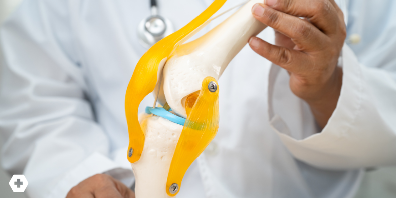 The Knee Exam, Rebooted: Practical Tests That Work | Hippo Education